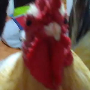 Meet your Posher, Mhiranda